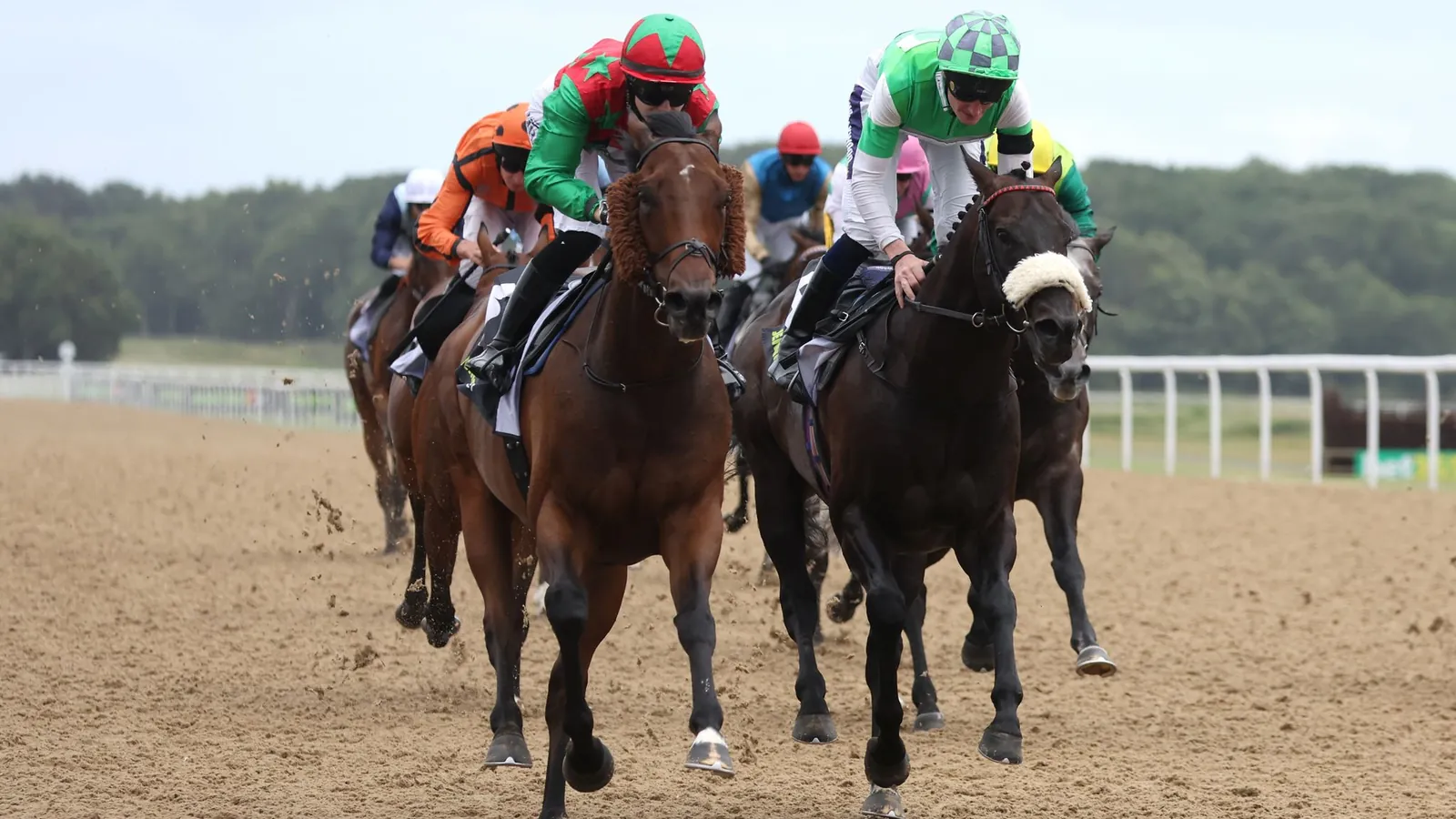 Diligent Harry (left) won the Chipchase Stakes last term
